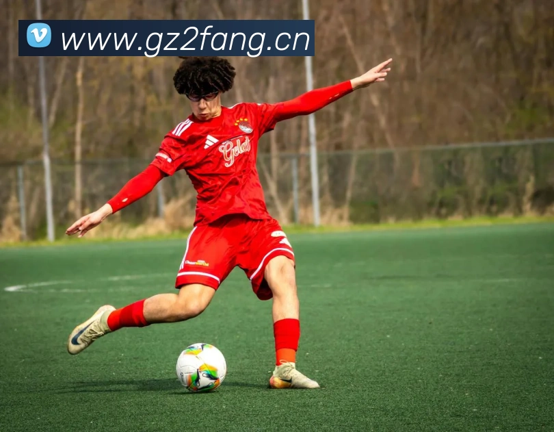 开云官方登录APP 封面图